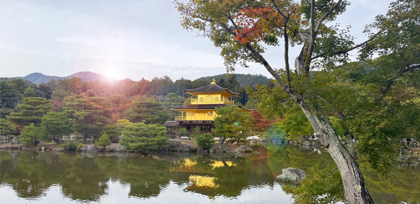 Chat with no obligation